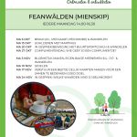 Buurtkamer Feanwâlden