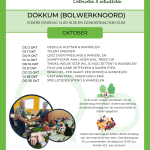 De Buurtkamer Dokkum - Activiteiten(5)